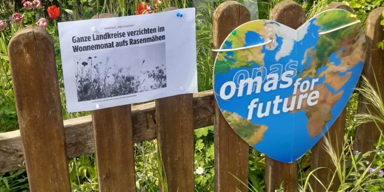 Omas for Future: Verzicht auf das Mähen im Mai