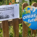 Omas for Future: Verzicht auf das Mähen im Mai