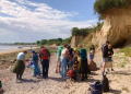 Geopark-Führung: Das Norddeutsche Meer