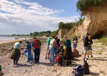Geopark-Führung: Das Norddeutsche Meer