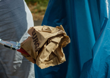Ratzeburger Grüne bringen Antrag zur Prüfung einer kommunalen Verpackungssteuer ein