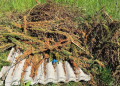 Illegale Abfallentsorgung bei Basedow
