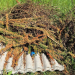 Illegale Abfallentsorgung bei Basedow