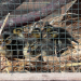 Tierischer Einsatz nach Facebook-Post