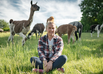 Lamasté in Mannhagen droht das Aus