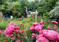 Offener Garten in Basedow