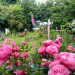 Offener Garten in Basedow