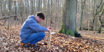 Freiwillige auf Spurensuche: Wildkatzen-Monitoring beim Zweckverband Schaalsee-Landschaft