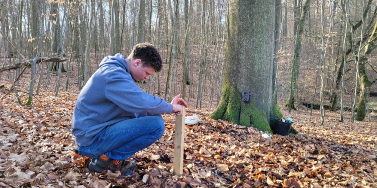 Freiwillige auf Spurensuche: Wildkatzen-Monitoring beim Zweckverband Schaalsee-Landschaft