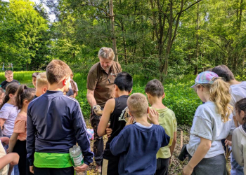 Lernen mit allen Sinnen: Kinder pflanzen Bäume am Geesthachter Stadtwald