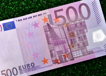 Ausgesetzte Kaninchenfamilie: PETA bietet 500 Euro Belohnung für Hinweise