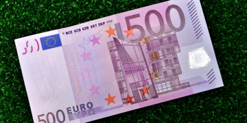 Ausgesetzte Kaninchenfamilie: PETA bietet 500 Euro Belohnung für Hinweise