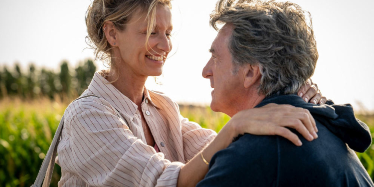 Norddeutsches Freiluftkino startet in die 25. Saison