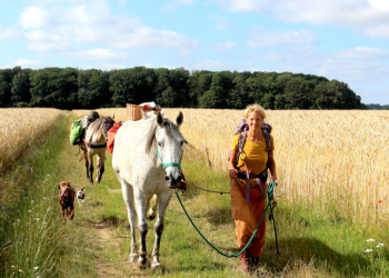 Der Weg ist das Ziel – Eine ungewöhnliche Herde auf Wanderschaft