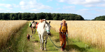 Der Weg ist das Ziel – Eine ungewöhnliche Herde auf Wanderschaft