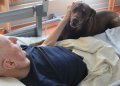 Ein Engel auf vier Pfoten: Therapiehund Paul bringt Licht ins Geesthachter Auxilium Hospiz