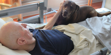 Ein Engel auf vier Pfoten: Therapiehund Paul bringt Licht ins Geesthachter Auxilium Hospiz