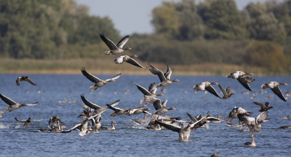 Naturparktour am 26. Juli: Wandern am Grünen Band