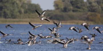 Naturparktour am 26. Juli: Wandern am Grünen Band