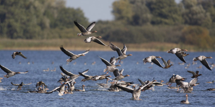 Naturparktour am 26. Juli: Wandern am Grünen Band
