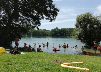 Blaualgen: aktuelle Badewarnung und Badeverbote im Kreis Herzogtum Lauenburg