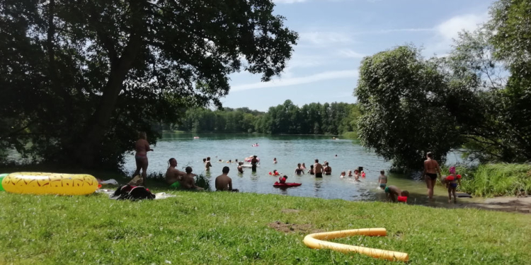 Blaualgen: aktuelle Badewarnung und Badeverbote im Kreis Herzogtum Lauenburg