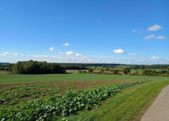 Zehnter Kauf- und Pachtpreisspiegel für Schleswig-Holstein veröffentlicht