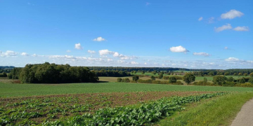 Zehnter Kauf- und Pachtpreisspiegel für Schleswig-Holstein veröffentlicht