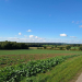 Zehnter Kauf- und Pachtpreisspiegel für Schleswig-Holstein veröffentlicht