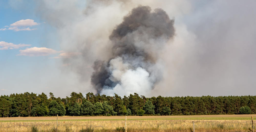 Stadtverwaltung Geesthacht warnt vor Waldbrandgefahr