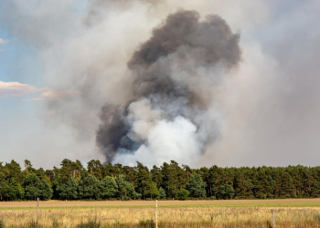 Stadtverwaltung Geesthacht warnt vor Waldbrandgefahr