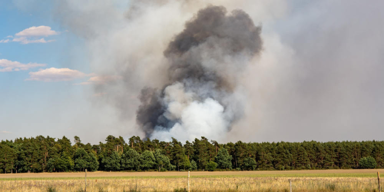 Stadtverwaltung Geesthacht warnt vor Waldbrandgefahr