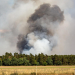 Stadtverwaltung Geesthacht warnt vor Waldbrandgefahr