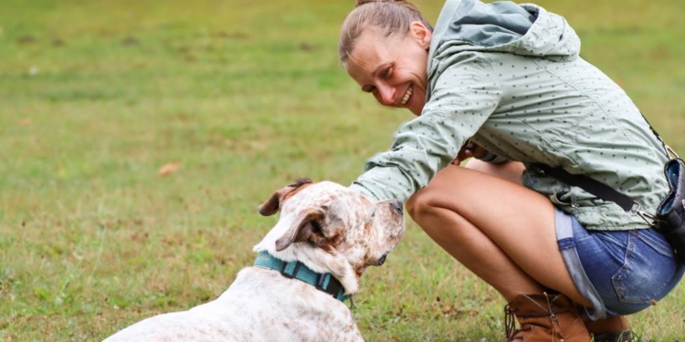 Neues Hundetraining im AMEOS Reha Klinikum Ratzeburg