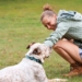 Neues Hundetraining im AMEOS Reha Klinikum Ratzeburg