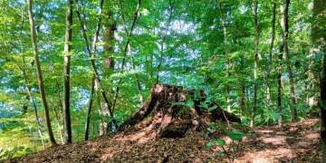 Start der ArtenScouts-Jugendgruppen