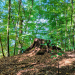 Start der ArtenScouts-Jugendgruppen