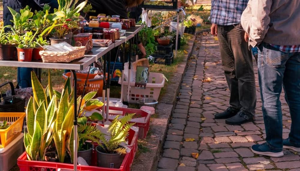 Pflanzenflohmarkt am Ratzeburger See