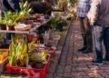 Pflanzenflohmarkt am Ratzeburger See