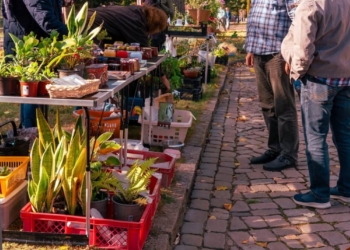 Pflanzenflohmarkt am Ratzeburger See