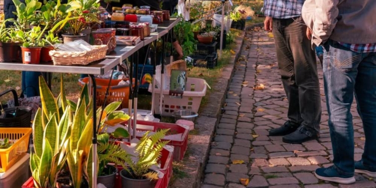 Pflanzenflohmarkt am Ratzeburger See