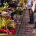 Pflanzenflohmarkt am Ratzeburger See