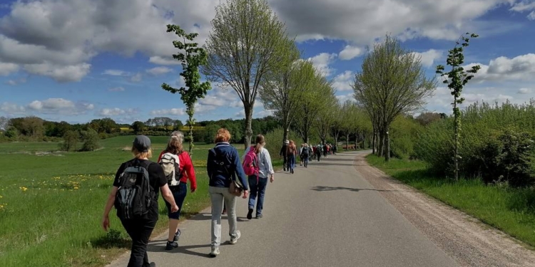 Pilgern zwischen Ratzeburg und Seedorf: Gemeinsam unterwegs im Klosterdreieck