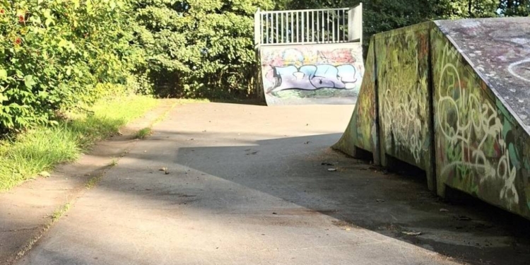 Gemeinsam für eine saubere Skateanlage