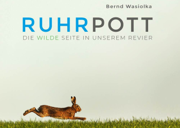 Multivisionsvortrag ‚Wilder Ruhrpott‘