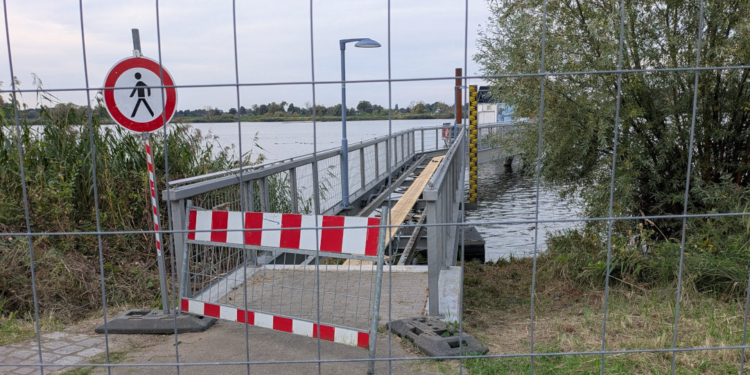 Geesthacht: Sanierung des Anlegers gestartet