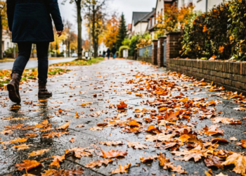 Glatte Wege, nasse Blätter: Was Grundstückseigentümer im Herbst beim Laubfegen in Mölln beachten müssen