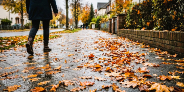 Glatte Wege, nasse Blätter: Was Grundstückseigentümer im Herbst beim Laubfegen in Mölln beachten müssen