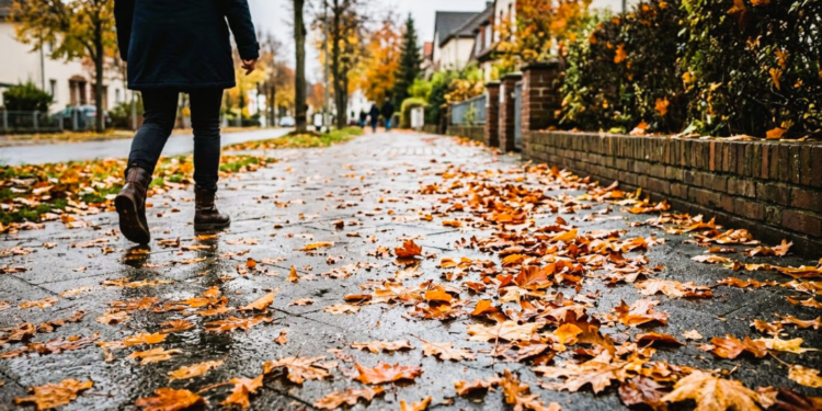 Glatte Wege, nasse Blätter: Was Grundstückseigentümer im Herbst beim Laubfegen in Mölln beachten müssen