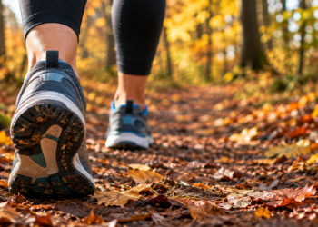 Trainingsläufe für den Ratzeburger Adventslauf